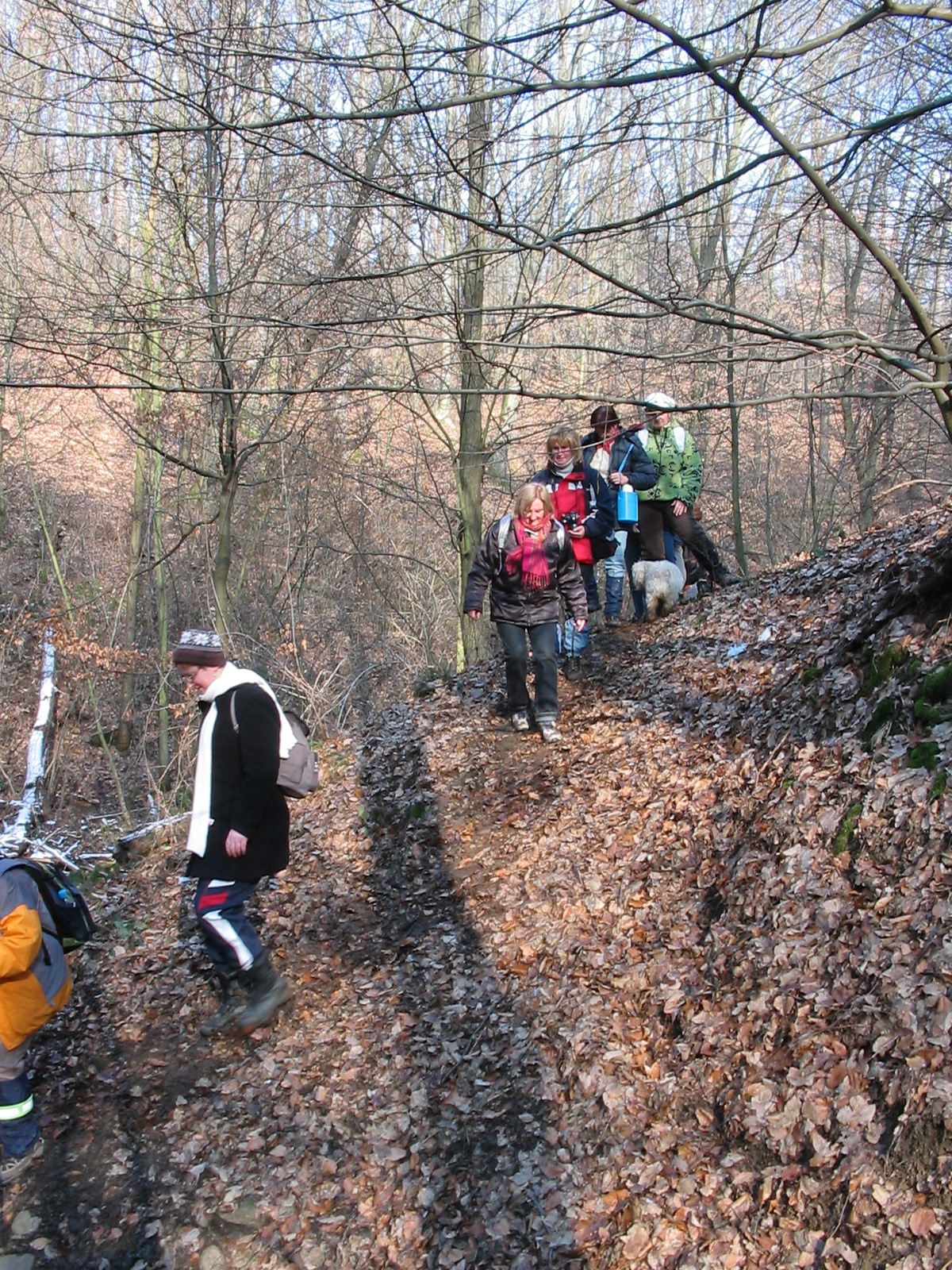 2011 01 22 H.Hetény-Pécs S. 028