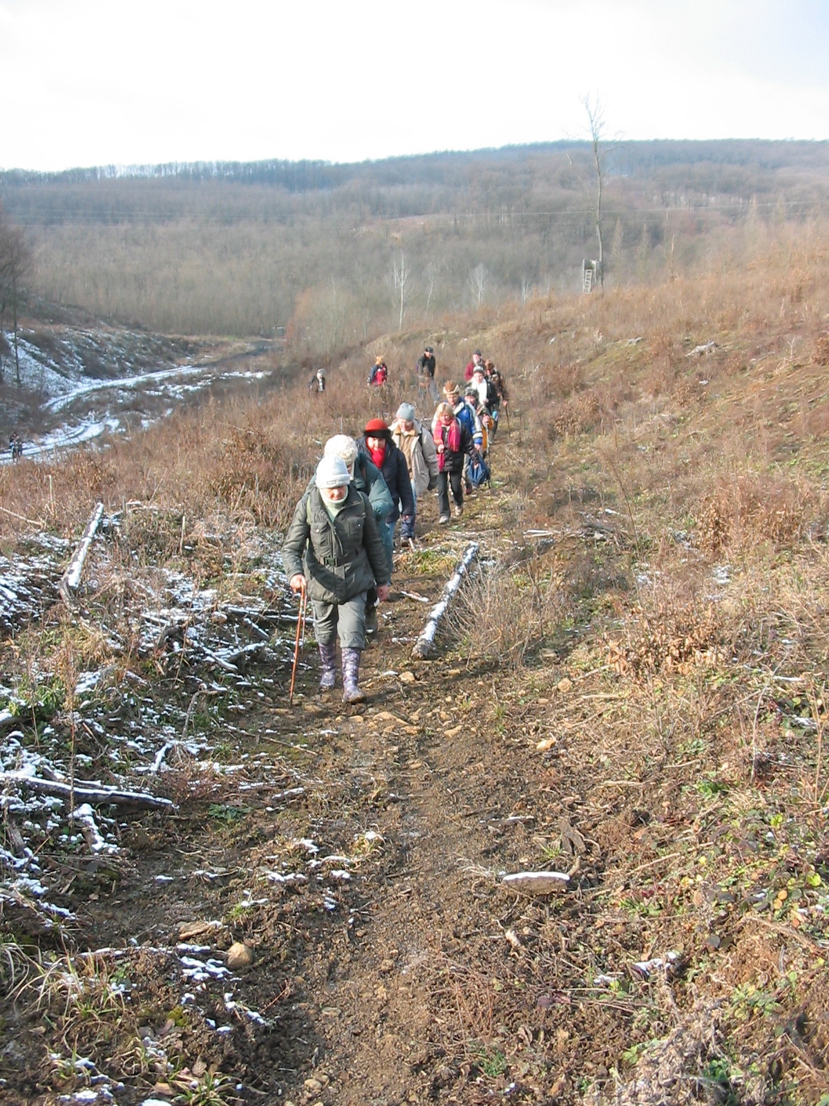 2011 01 22 H.Hetény-Pécs S. 032