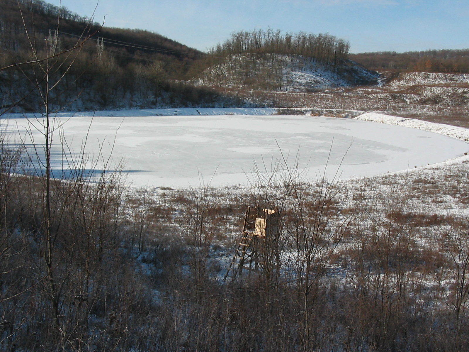 2010 01 29 de szőlő 011