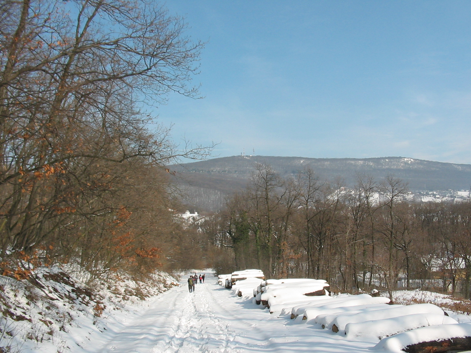 2010 02 14  Állatkert-Szentkút 052