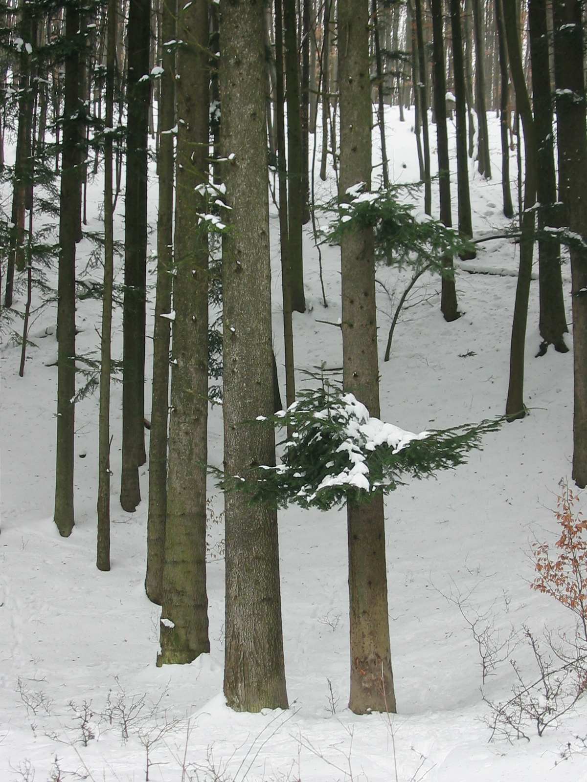 2010 02 15 Óbánya-Pécsvárad 123