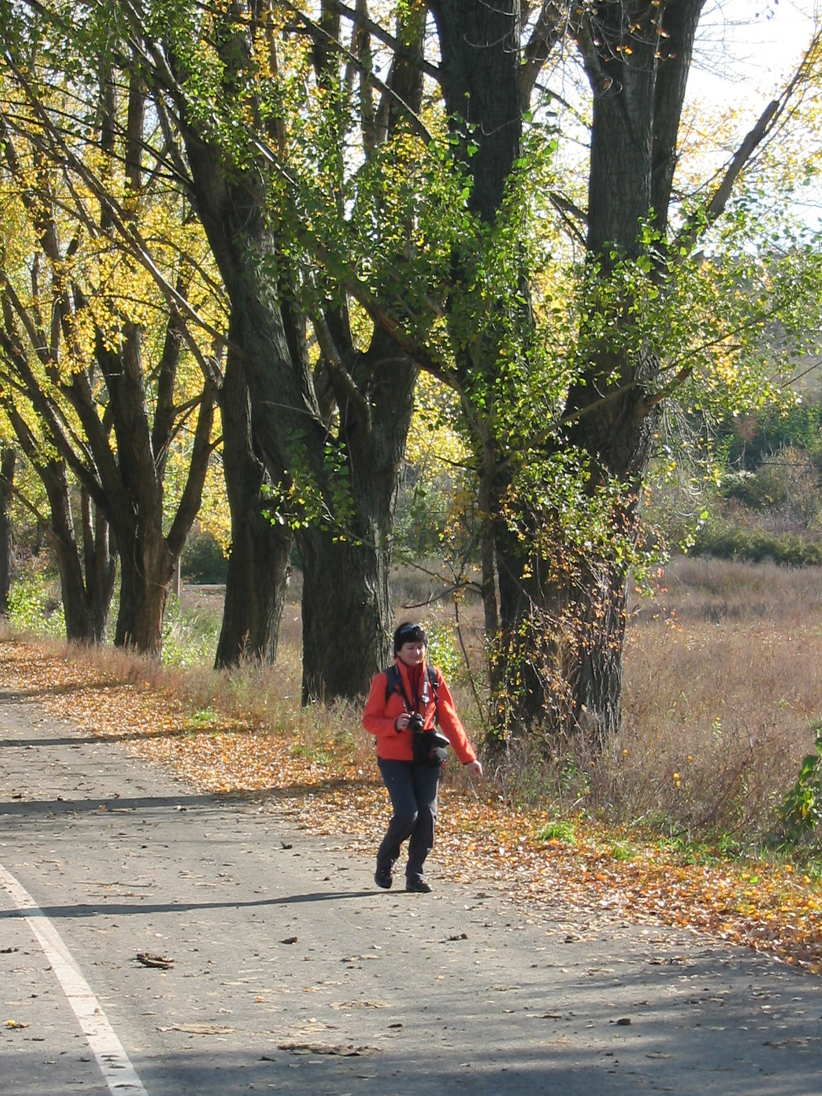 2010 10 23 Hosszúhetény -Szőlő 004