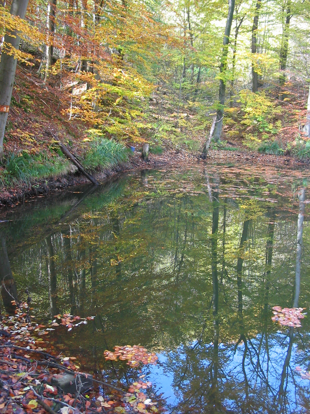 2010 10 23 Hosszúhetény -Szőlő 018