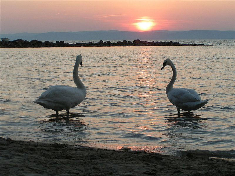 balaton035 1024x768