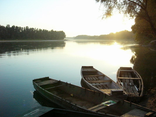 Drave at Drávaszabolcs, Hungary