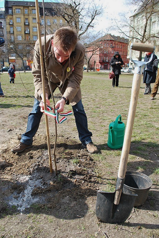 21Telekitér2010márc15