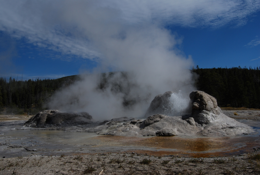 US 2010 Day08  101 Grotto Geyser, Yellowstone NP, WY