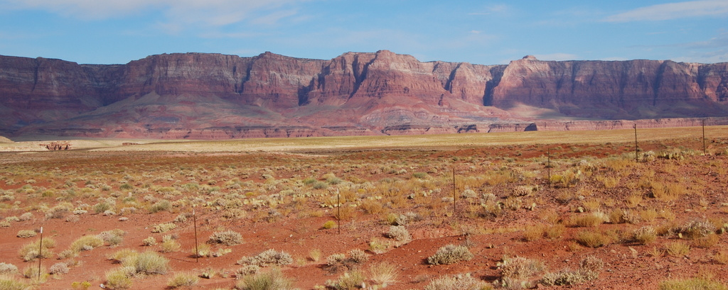 US 2010 Day23  003 Vermilion Cliffs, AZ