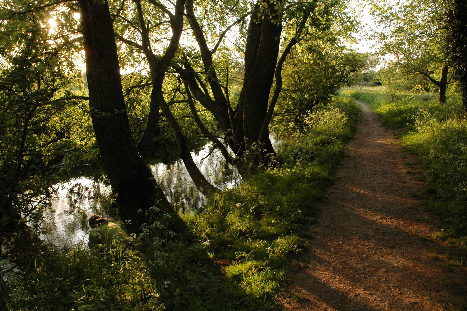 River Nene 1