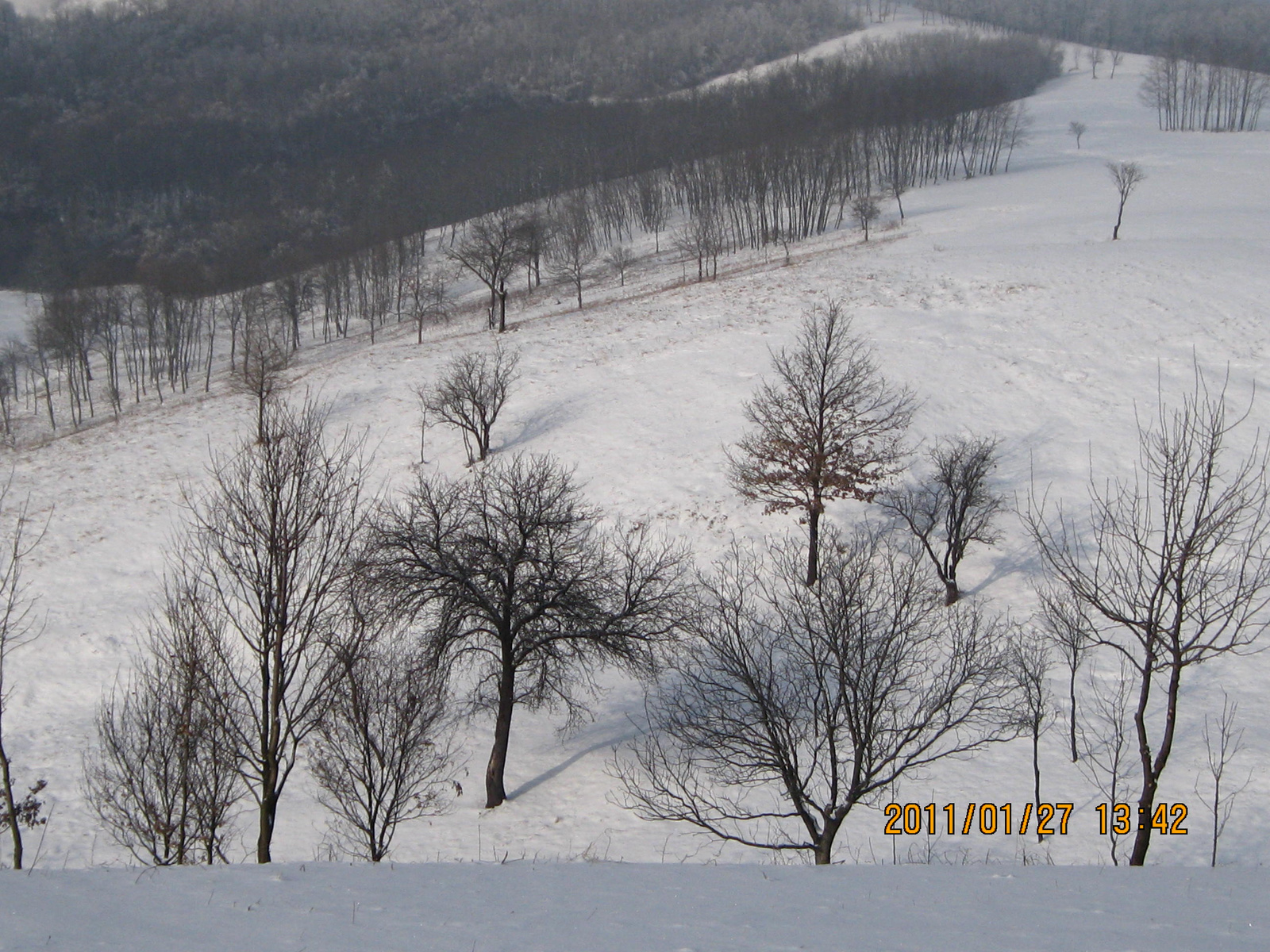 Legénd-Sáp 2011.01.27. 049