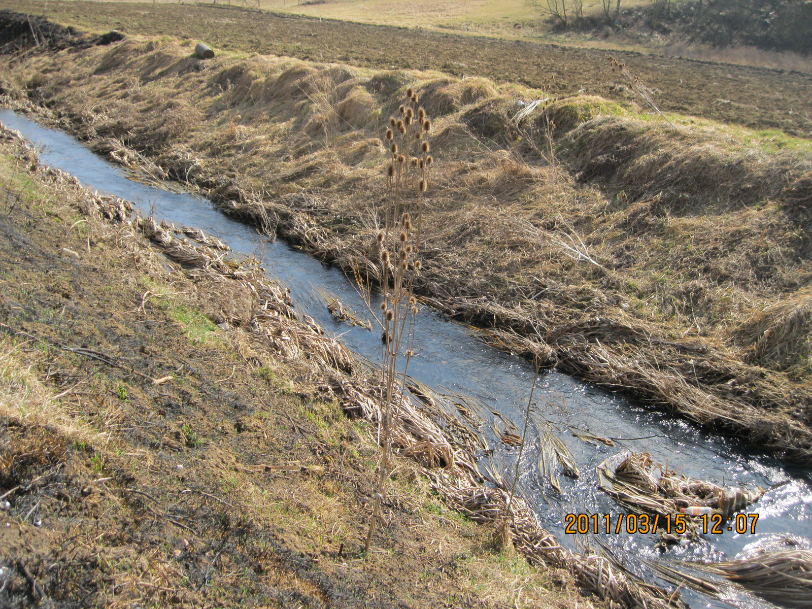 Sáp 2011.03.15. 090