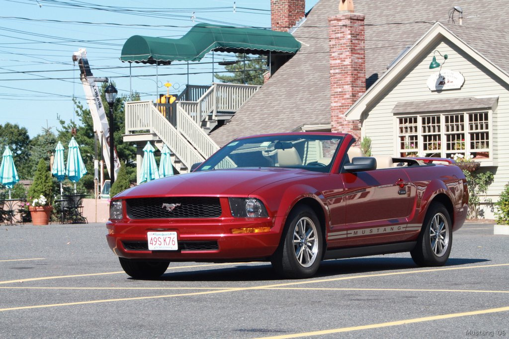 Mustang 14