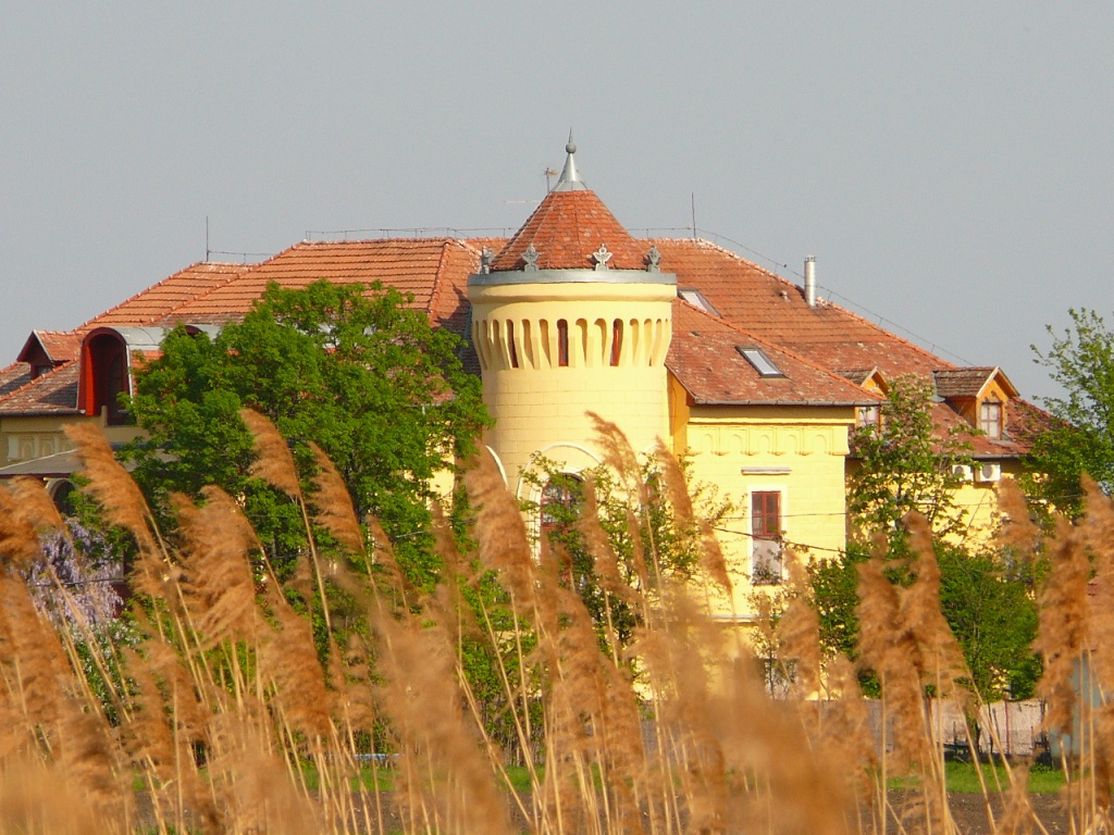 Kastély a mező felől