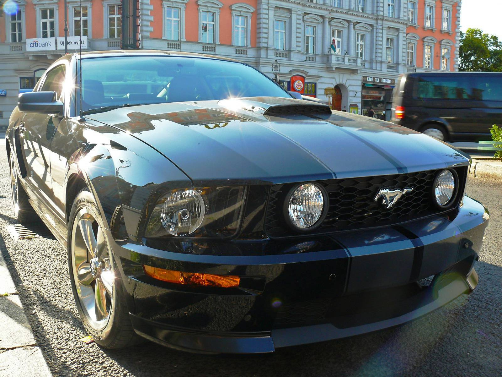 Shelby Mustang GT300