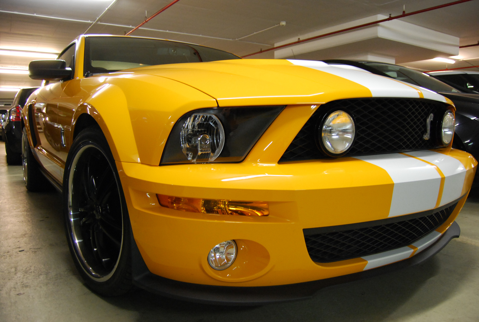 Shelby GT500