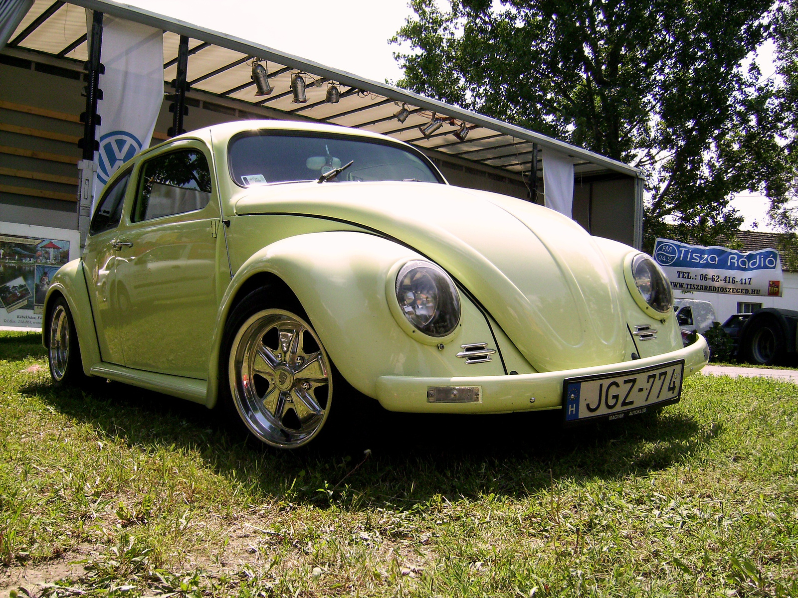 Vw beetle