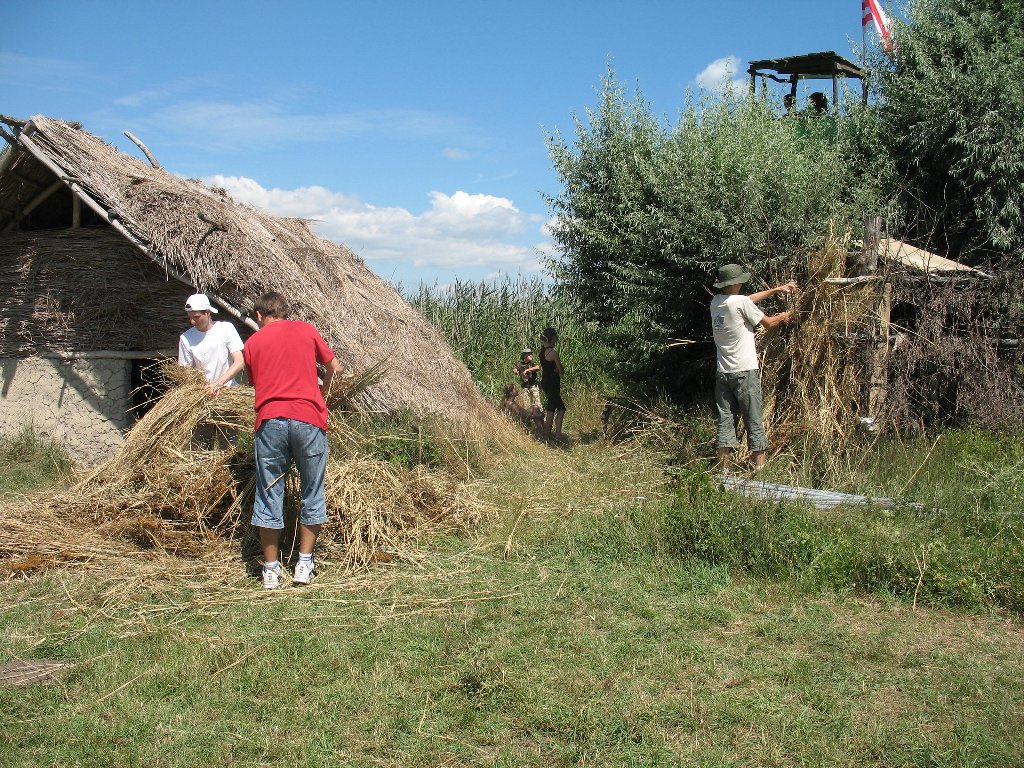 Nádat a gyűrűzősátorra