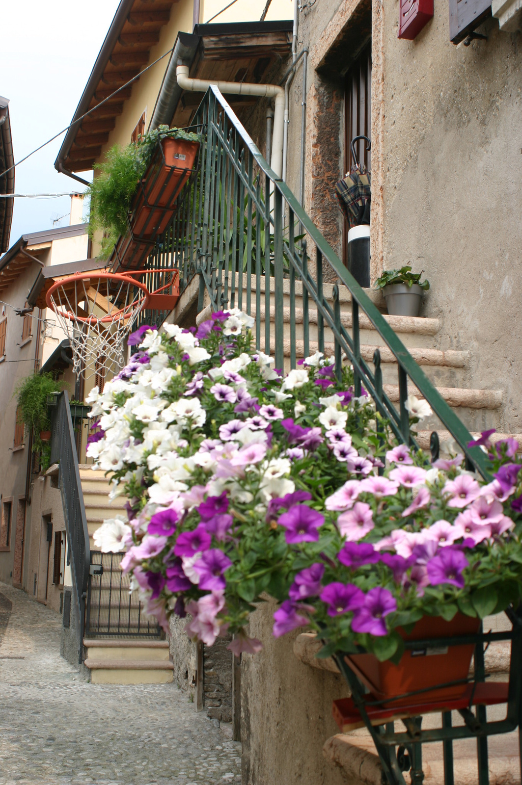 Malcesine 6