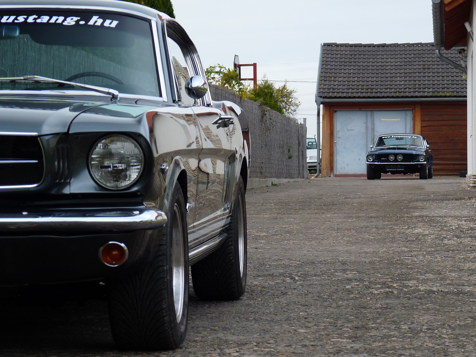 Ford Mustang - Shelby GT350