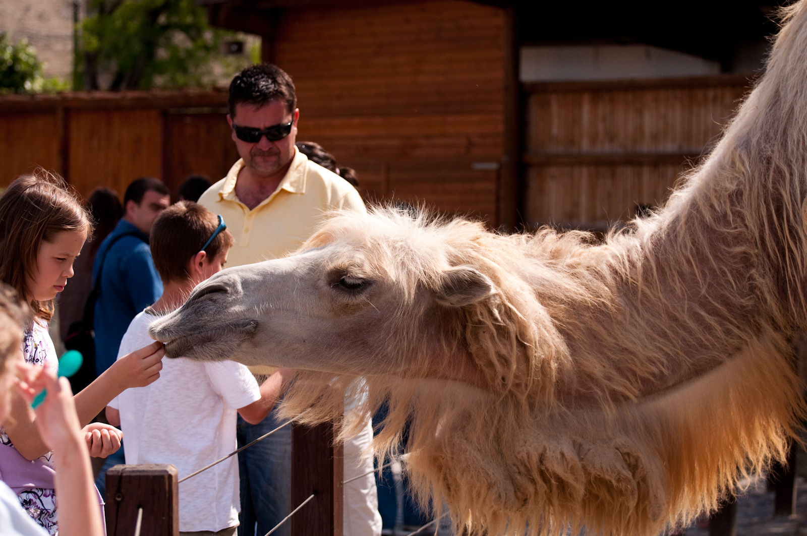 zoo2010-0290