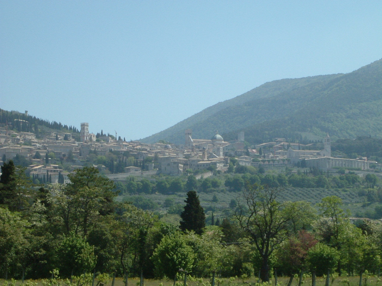 assisi108