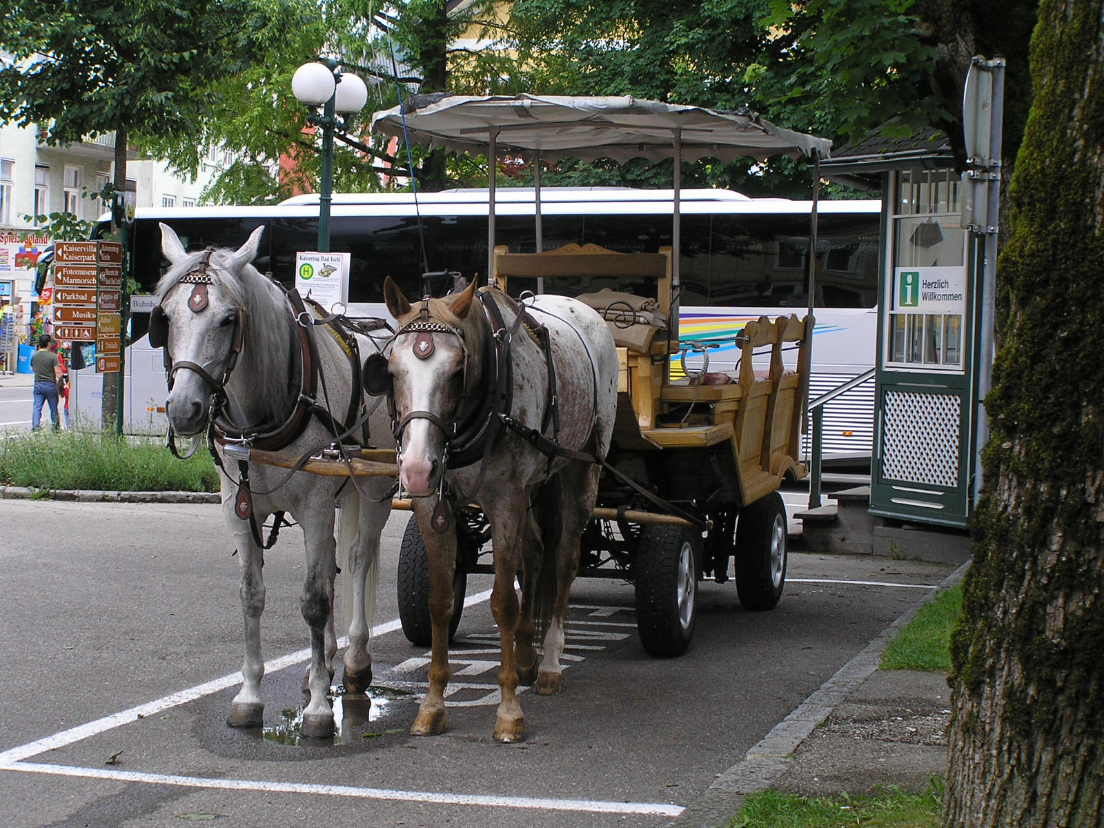 o 339 Bad Ischl