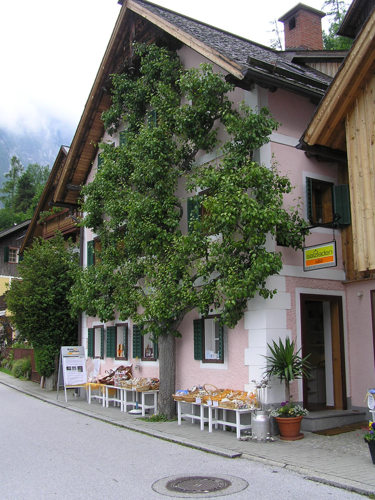 o 918 Hallstatt