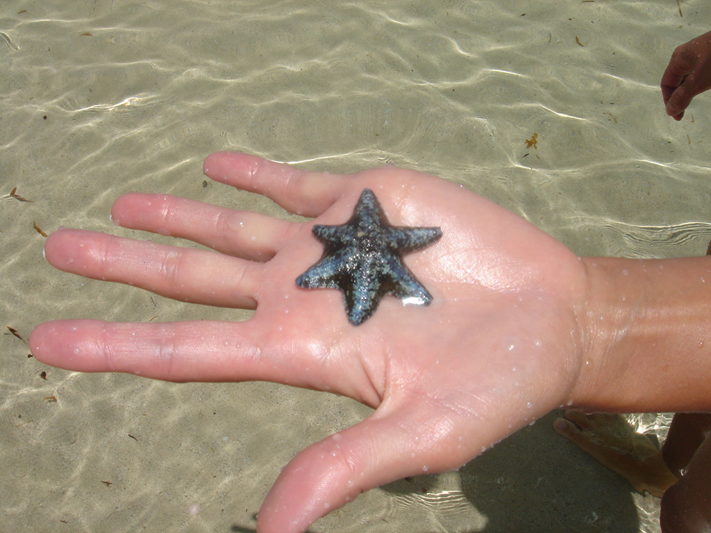 Australia 2007 -4- YANCHEP 349