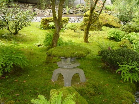 Japán kert