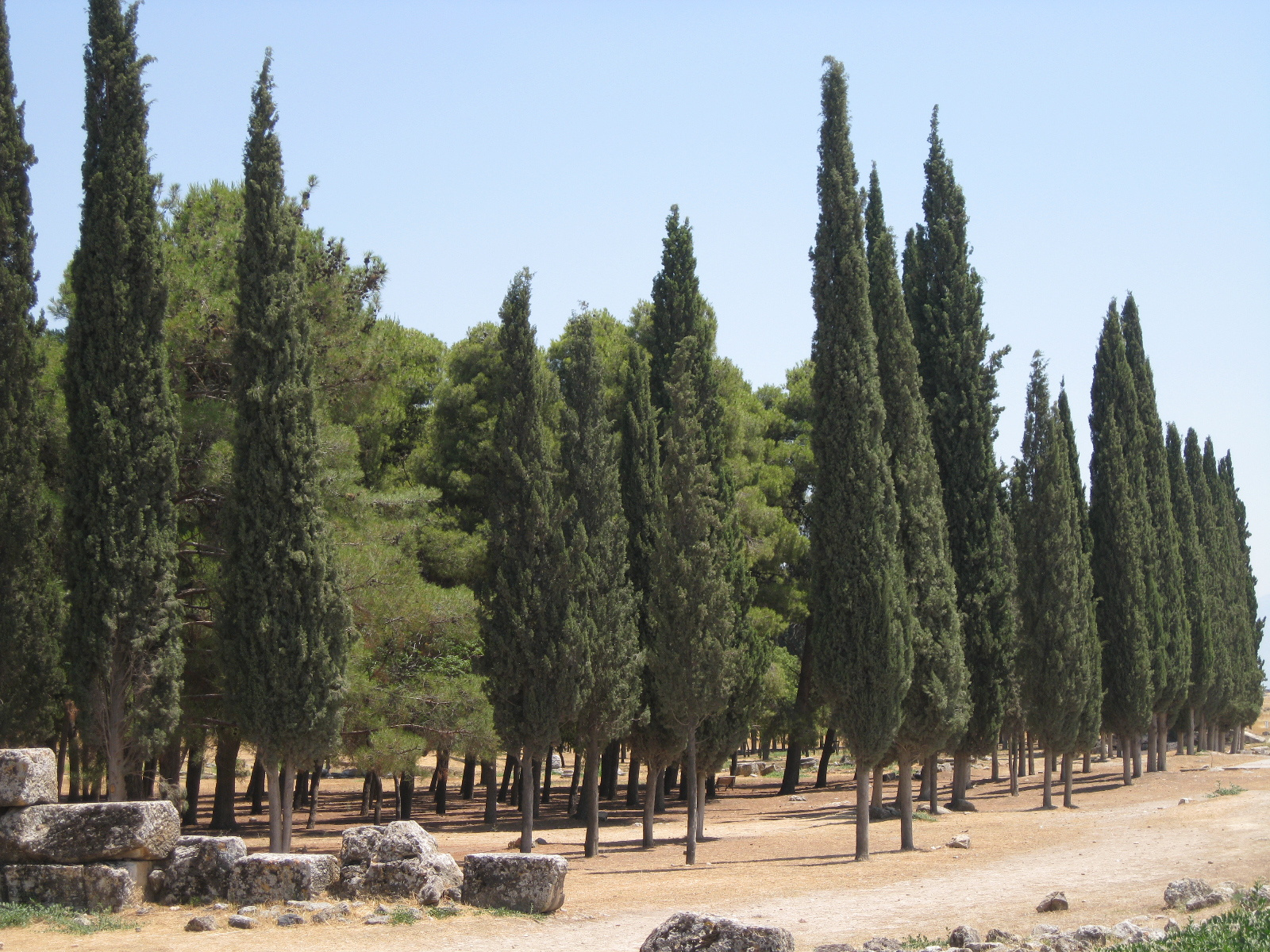 Hierapolis 010