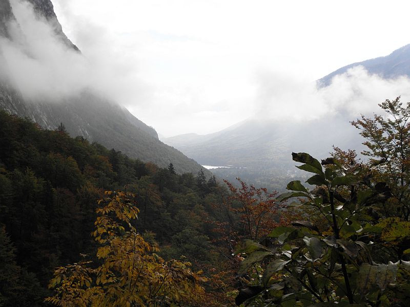 Kilátás a Bohinj-tóra