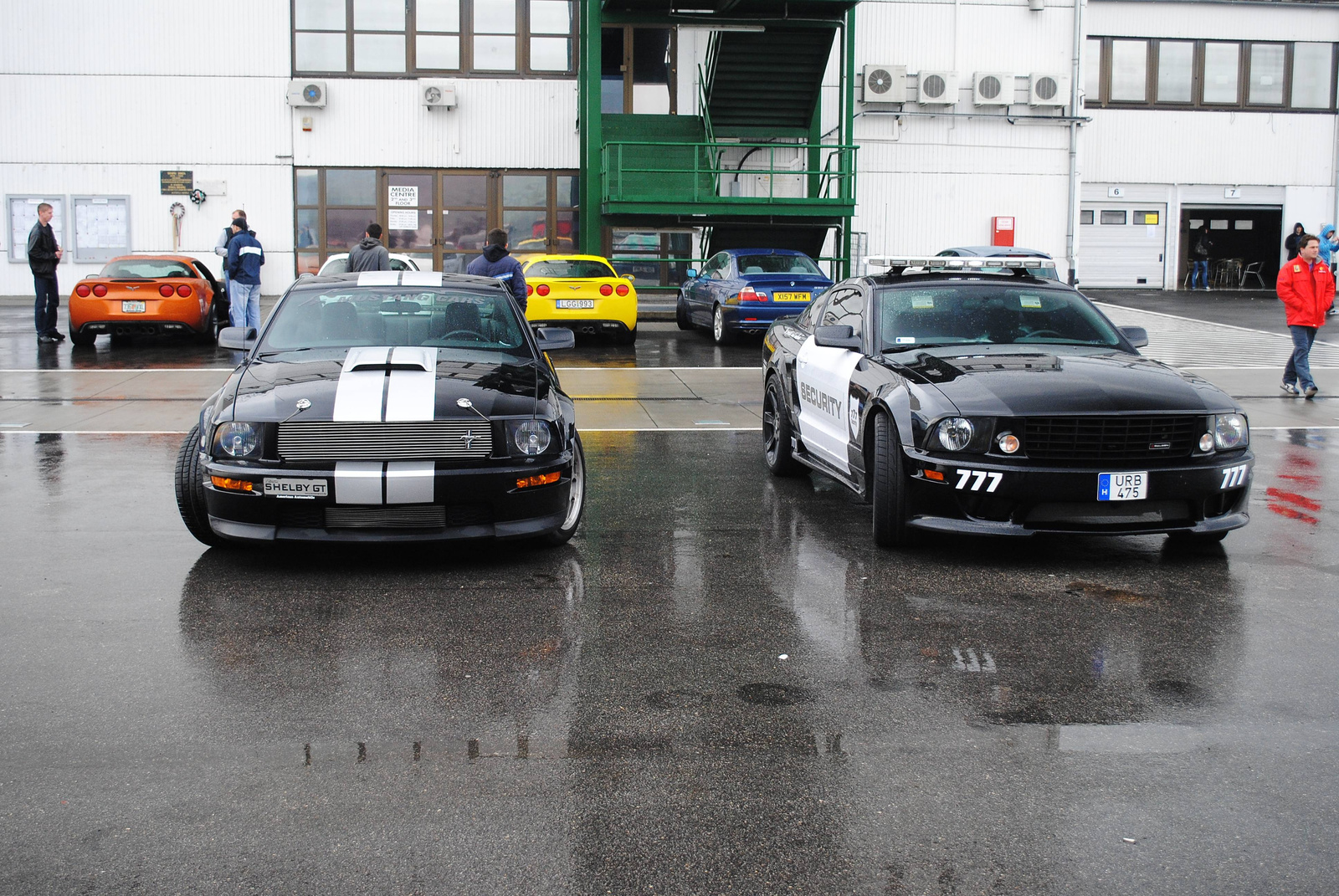 Shelby - Saleen