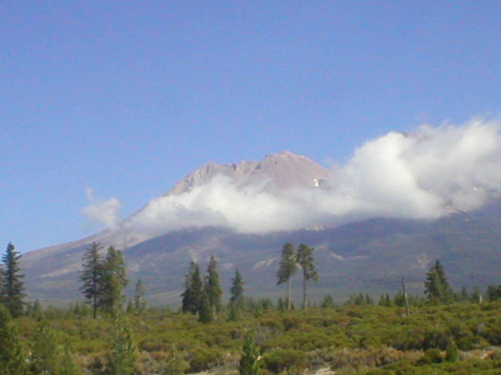 Mount Shashta1