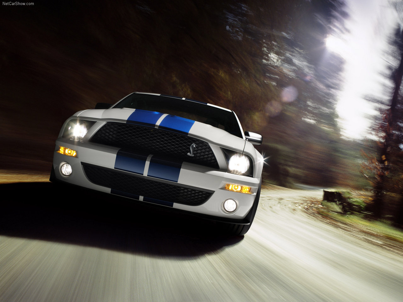 Ford-Mustang Shelby GT500 2007 1280x960 wallpaper 04