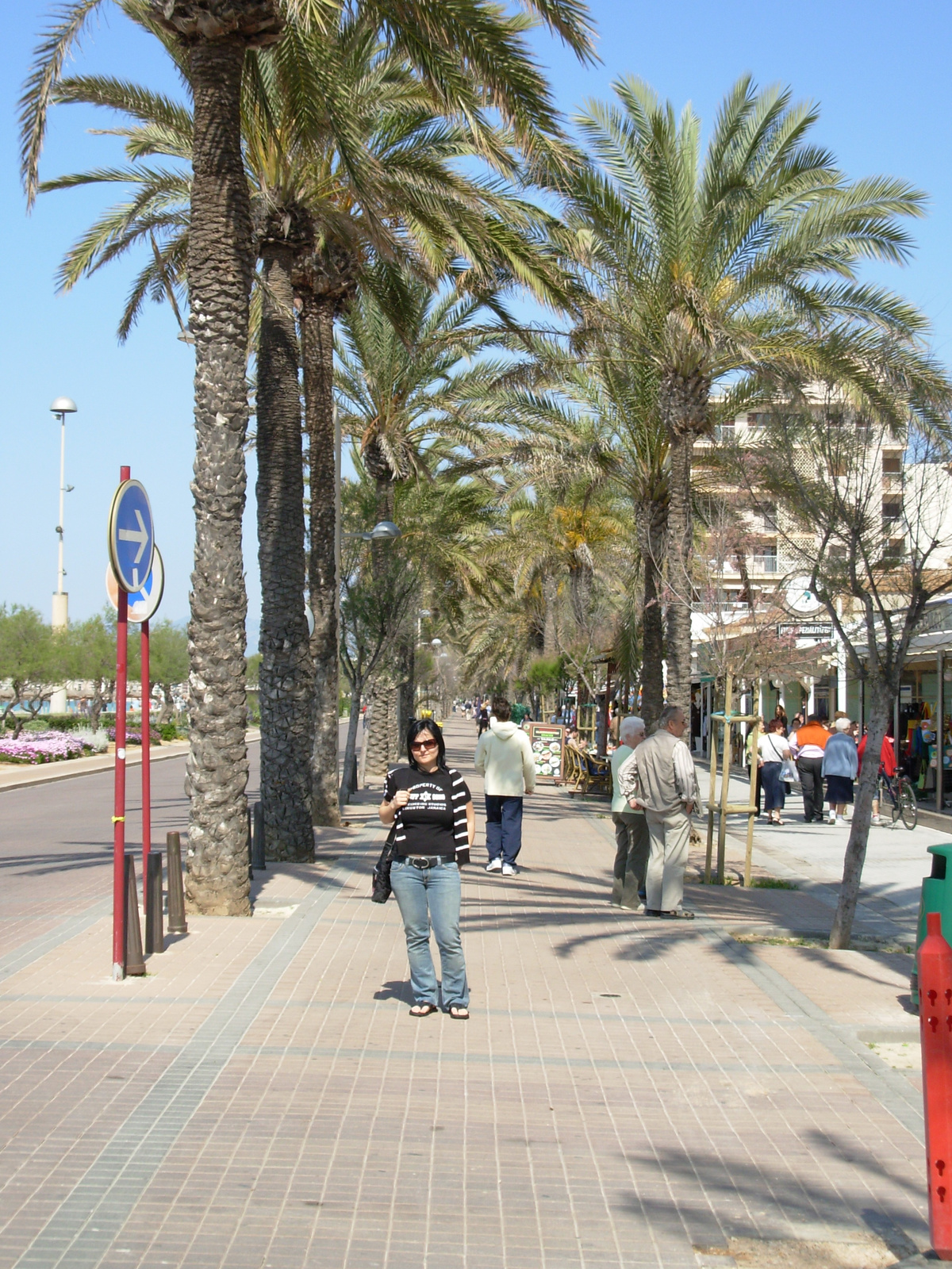 Mallorca2008 8