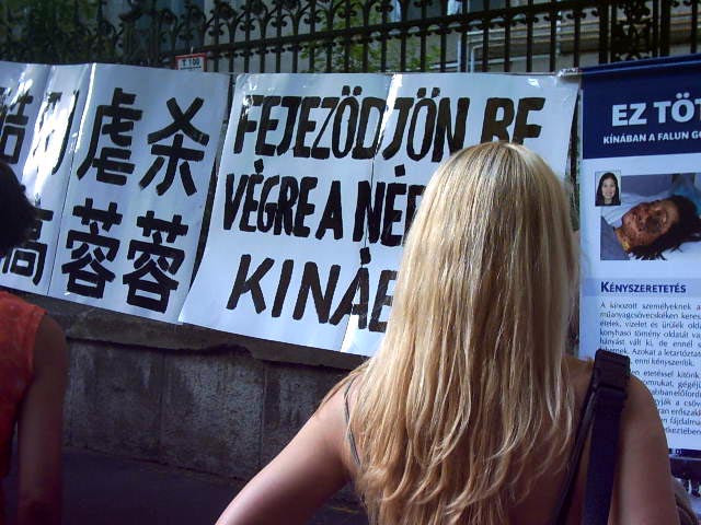 2005-06-28-2005-6-27-hungary-protest-02 copy1