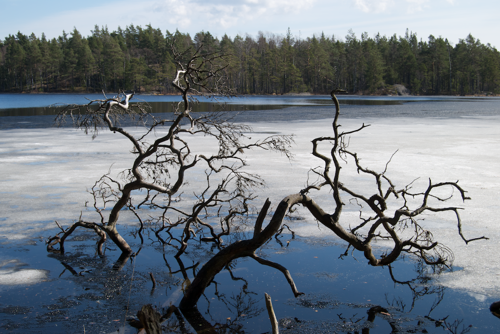 Tyresta nemzeti park - Arsjön