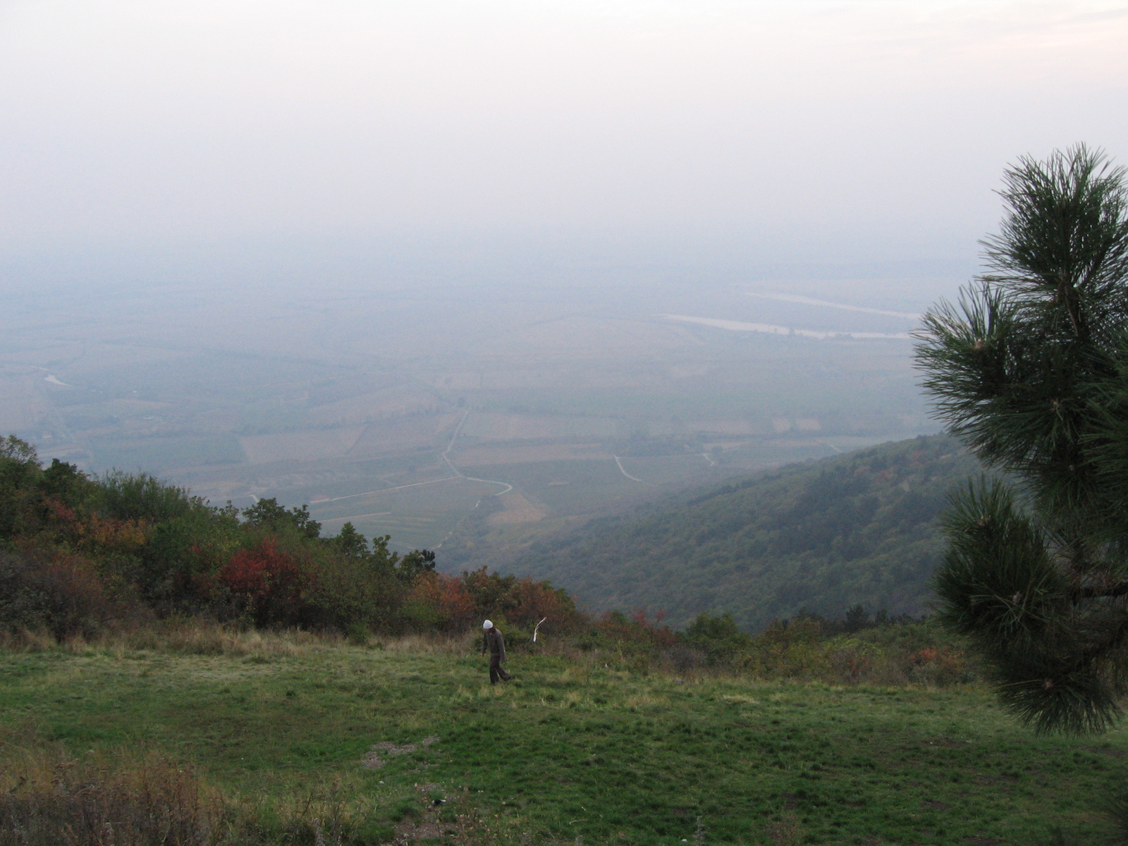 Tokaj