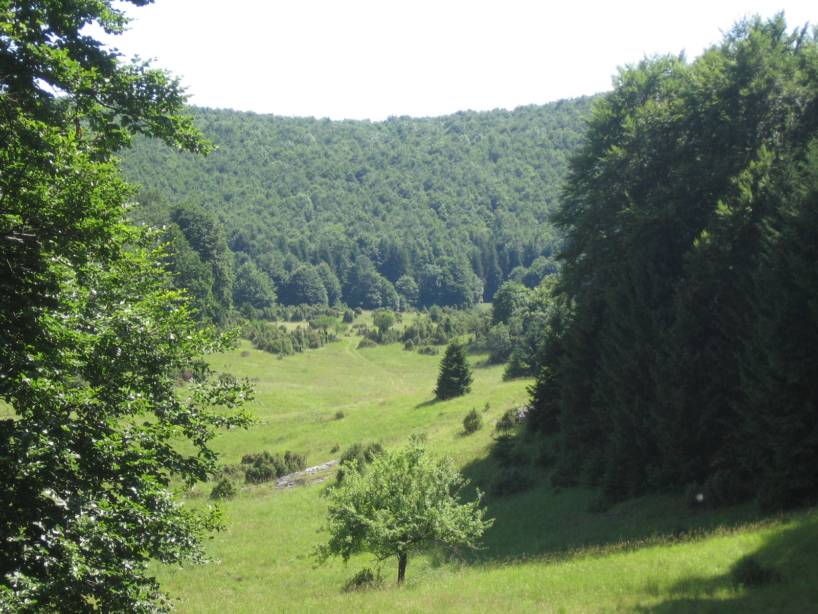 Szilvásvárad 086