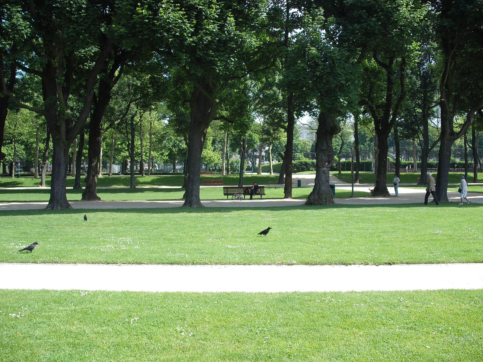 Cinquantenaire Park