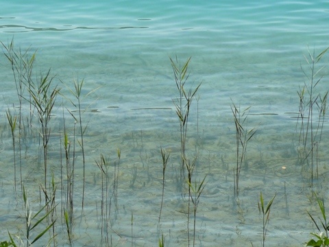 wörthi-tó égszínkék vize