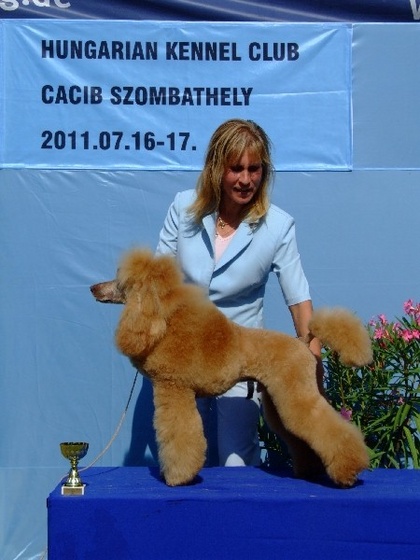 Szombathely CACIB 110716 103