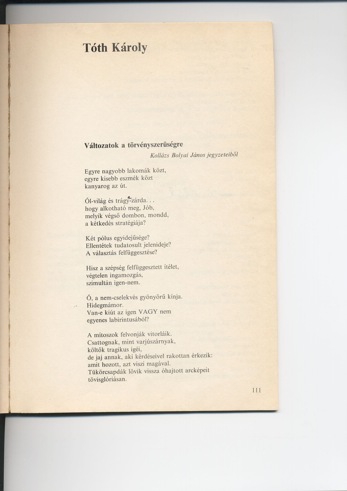 Pető Tóth Károly - Változatok a törvényszerűségre 1