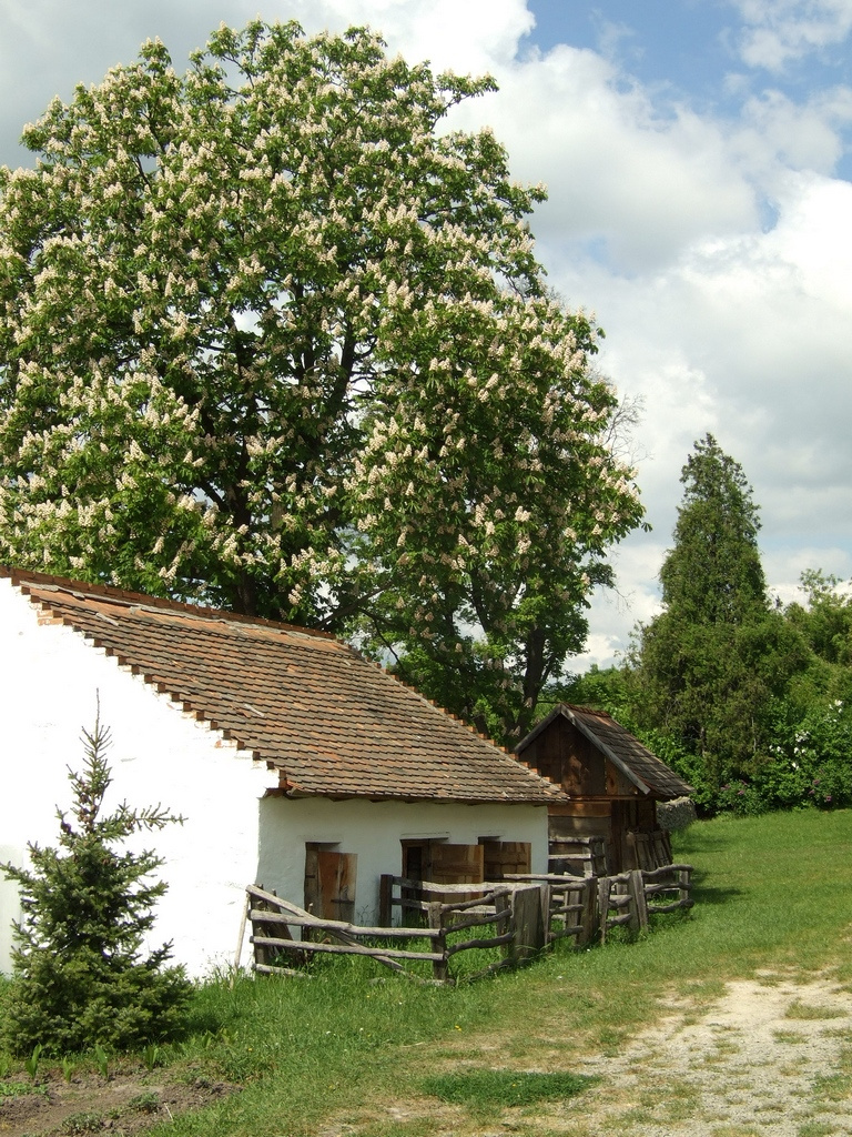 Szentendrei Skanzen 19