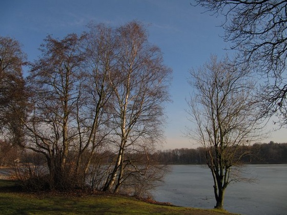 tó február 017