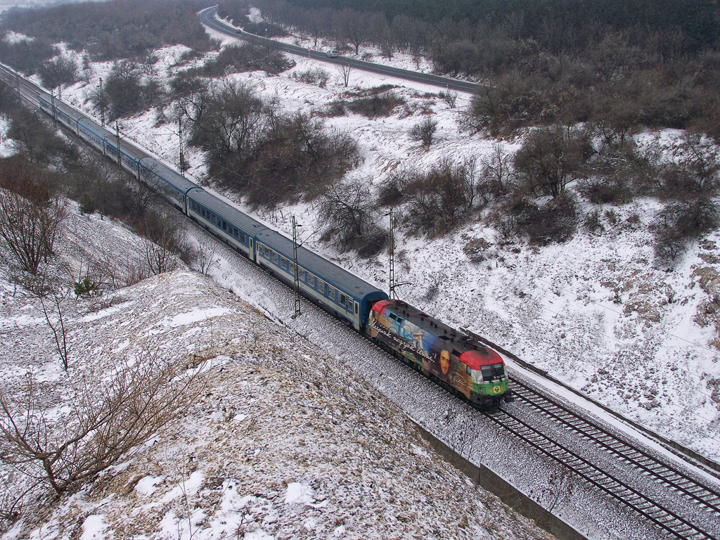 1047 505 - 1 Szár (2010.12.30).