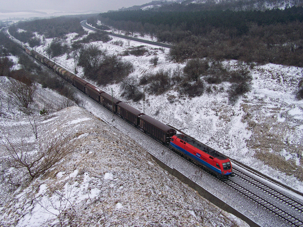 1116 016 - 5 Szár (2010.12.30).