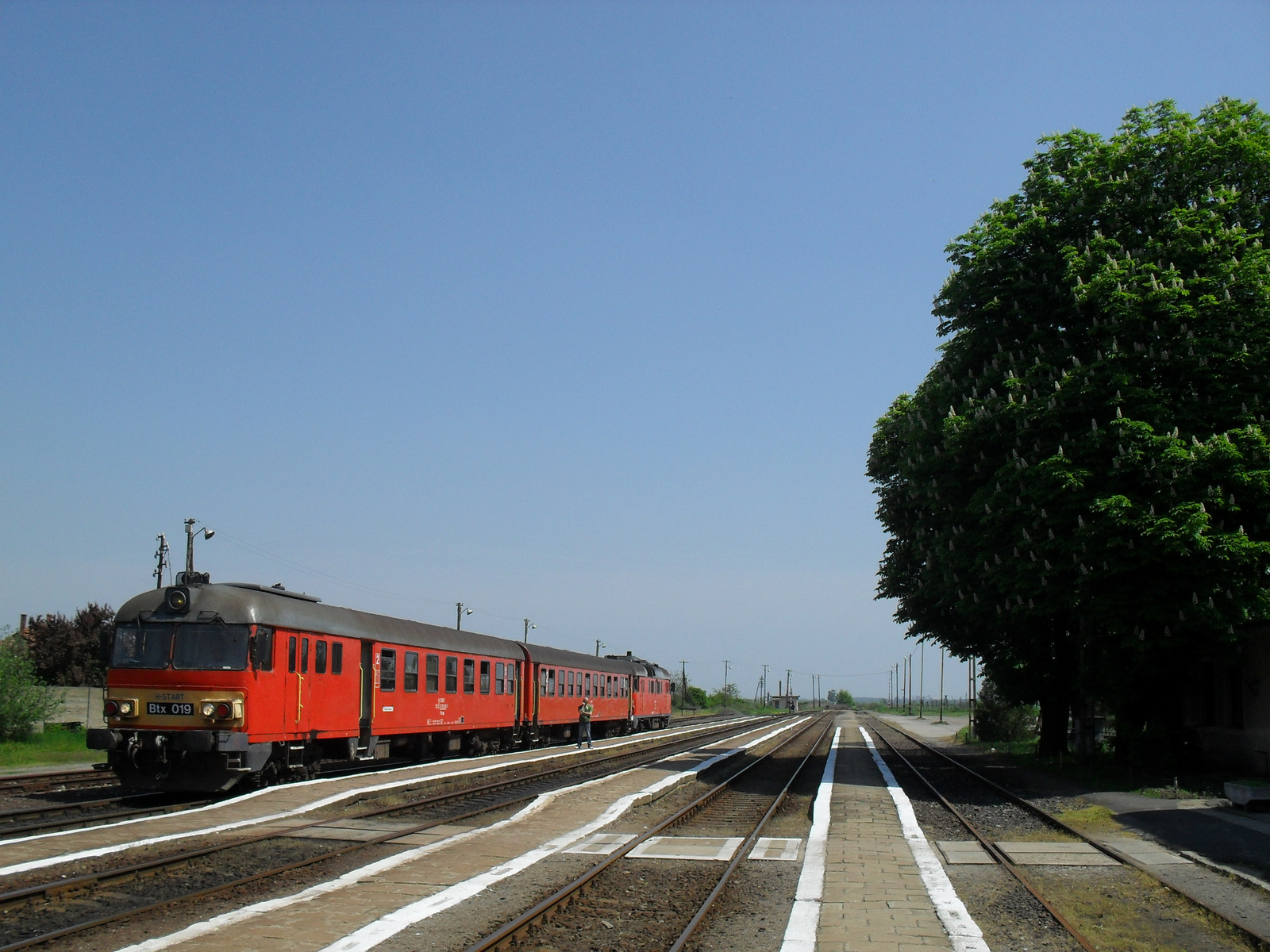 Piros, gömbölyű és a miénk