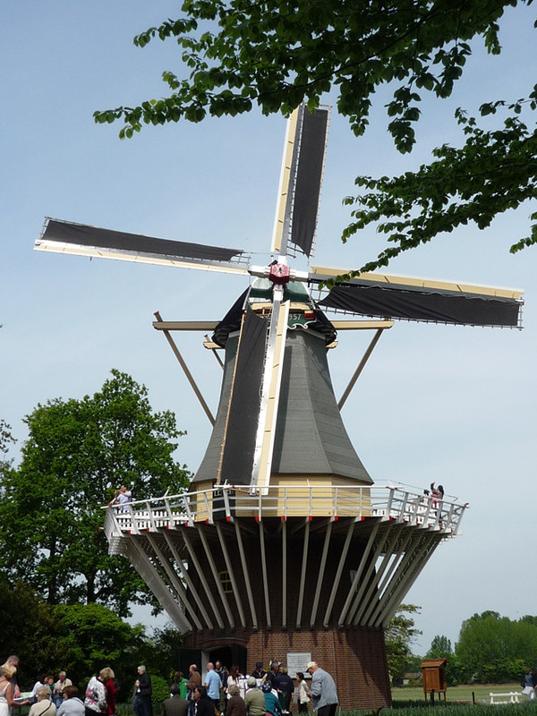 keukenhof 41