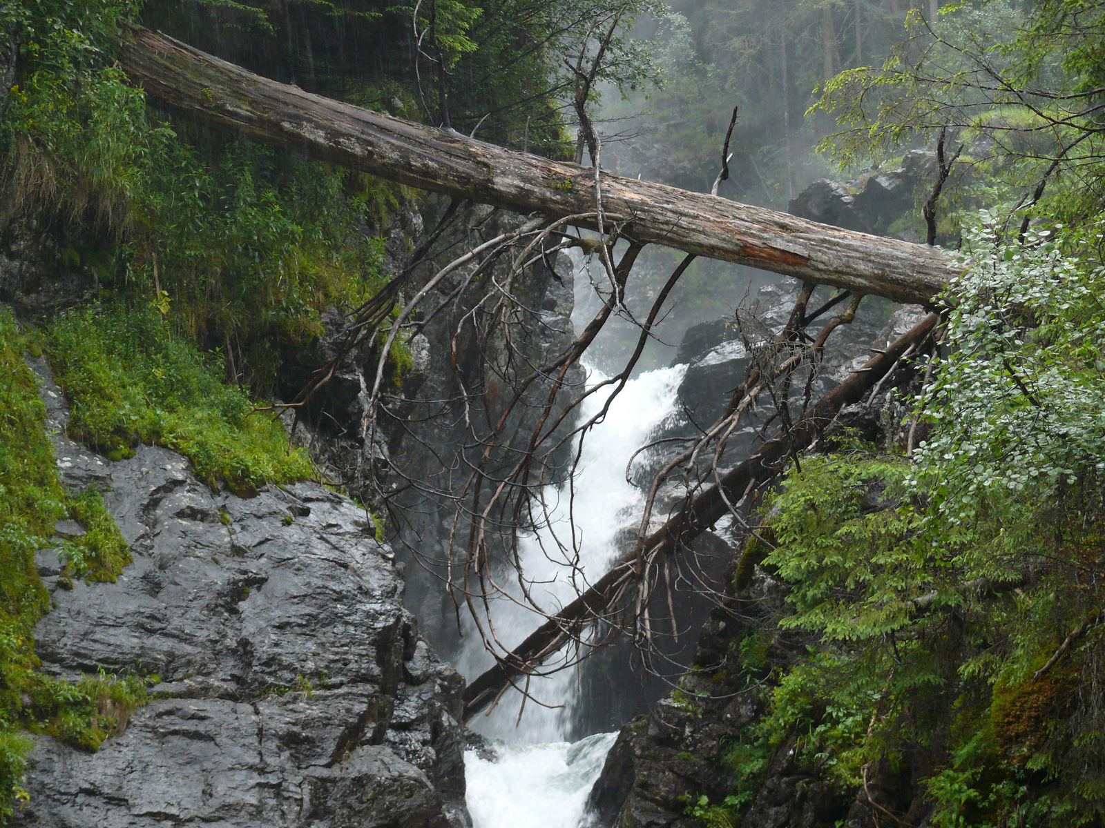 Riesach Wasserfall (4)